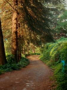 Scopri di più sull'articolo Trattamenti Estetici: Guida Sicura per Le Pelli Fragili