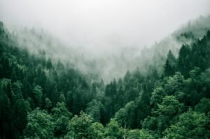 Scopri di più sull'articolo Tecniche di respirazione per ridurre ansia e stress